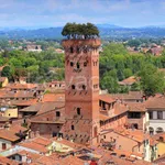 Rent 4 bedroom apartment of 110 m² in Lucca