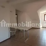 Rent 3 bedroom apartment of 110 m² in Milan