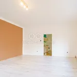 Pronajměte si 2 ložnic/e byt o rozloze 61 m² v Luby