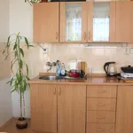 Rent 1 bedroom apartment of 22 m² in Ústí nad Labem