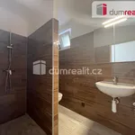 Rent 2 bedroom apartment in Břeclav