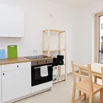 Rent 4 bedroom apartment in Frankfurt