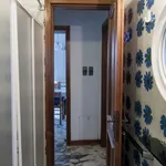 Affitto 3 camera appartamento di 55 m² in Follonica