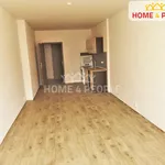 Rent 1 bedroom apartment in Chodov