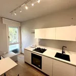 Rent 2 bedroom apartment of 38 m² in Padova