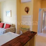 Rent 3 bedroom apartment of 95 m² in Silvi