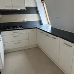 Rent 1 bedroom apartment in Gent