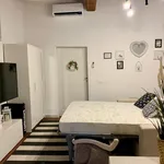 Rent 1 bedroom apartment in Florence