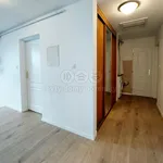 Pronajměte si 3 ložnic/e byt o rozloze 138 m² v Praha