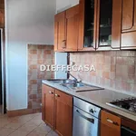 Rent 2 bedroom house of 50 m² in Marsala