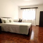 Rent 4 bedroom apartment in Coimbra