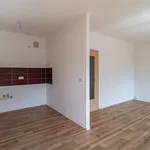 Rent 3 bedroom apartment of 58 m² in Chemnitz