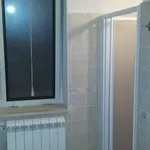 Rent 2 bedroom apartment of 55 m² in Frosinone