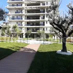 Rent 2 bedroom apartment of 70 m² in Pescara