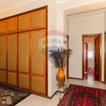 Rent 6 bedroom apartment of 224 m² in Catania