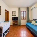 Rent 1 bedroom apartment in Florence