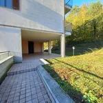 Rent 1 bedroom apartment of 40 m² in Sesto Calende