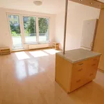 Pronajměte si 2 ložnic/e byt o rozloze 53 m² v Prague