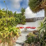 Rent 1 bedroom apartment of 50 m² in Teguise