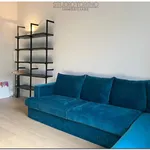 Rent 2 bedroom apartment of 70 m² in Torino