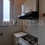 Rent 2 bedroom apartment of 60 m² in Torino