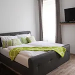 Miete 1 Schlafzimmer wohnung von 25 m² in Vienna