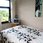 Rent 3 bedroom house in Birmingham