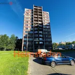 Rent 1 bedroom apartment of 28 m² in Ostrava