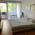 Rent 1 bedroom apartment of 32 m² in Olomouc