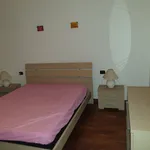 Affitto 1 camera appartamento di 55 m² in Busto Arsizio