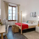 Rent 1 bedroom apartment in florence