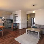 Rent 3 bedroom apartment of 80 m² in WARSZAWA