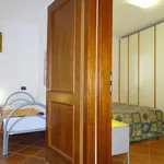 Rent 3 bedroom apartment of 80 m² in Cervia