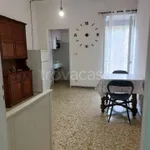 Rent 1 bedroom apartment of 40 m² in Torino