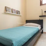 Rent 4 bedroom apartment of 110 m² in Catania