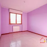 Rent 4 bedroom apartment of 80 m² in Ivrea