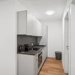 Rent 2 bedroom apartment in Graz