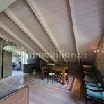 Rent 3 bedroom apartment of 100 m² in Turin