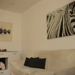 Rent 2 bedroom apartment of 60 m² in Cologne