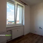 Rent 2 bedroom apartment in Sokolov