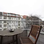 Rent 1 bedroom apartment of 54 m² in berlin