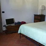 Rent 1 bedroom apartment of 60 m² in florence