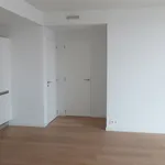 Rent 1 bedroom apartment in Antwerp