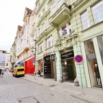 Rent 3 bedroom apartment of 95 m² in Brno