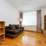 Rent 1 bedroom apartment in Plzeň