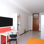 Rent 9 bedroom apartment in Trento