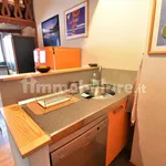 1-bedroom flat via Assietta, Colle Sestriere, Sestriere