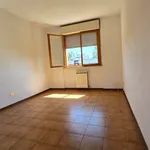 Rent 4 bedroom apartment of 105 m² in Rome