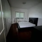 Rent 3 bedroom apartment of 100 m² in Modena