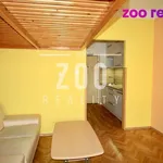 Rent 1 bedroom apartment of 24 m² in České Budějovice